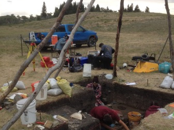 students digging in field