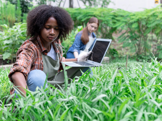 woman in field with laptop