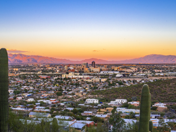 tucson landscape