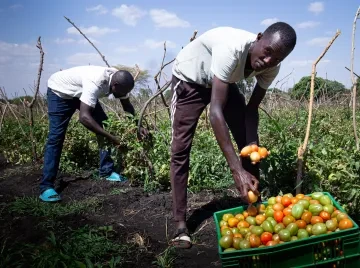 people farming